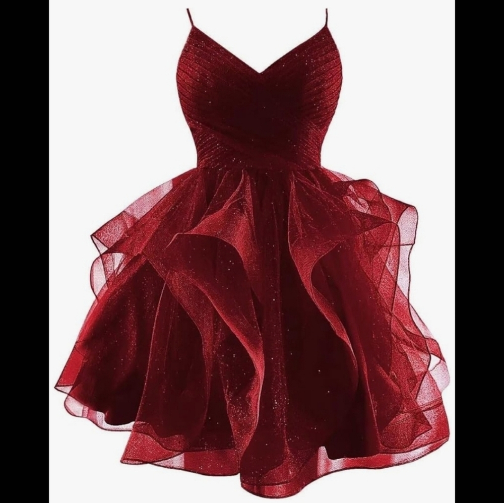 Wine Red Tulle Mini Party Dress with Corset